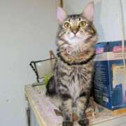 のり 今日は 熟女の風俗最終章 宇都宮店