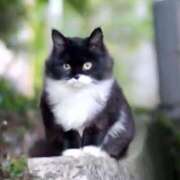 のり 最終日 熟女の風俗最終章 宇都宮店