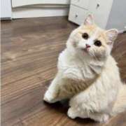 のり 週末 熟女の風俗最終章 宇都宮店