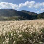 ヒメ日記 2025/11/08 23:57 投稿 りな clubさくら難波店