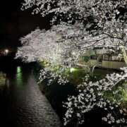 ヒメ日記 2026/04/01 20:37 投稿 りな clubさくら難波店