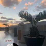 ヒメ日記 2026/05/22 21:47 投稿 りな clubさくら難波店