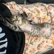 ヒメ日記 2025/11/09 14:31 投稿 めぐみ 横浜人妻ヒットパレード（シンデレラグループ）