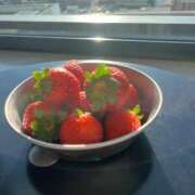 ヒメ日記 2025/12/11 21:03 投稿 めぐみ 横浜人妻ヒットパレード（シンデレラグループ）