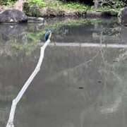 めぐみ お花見しに公園行ったよ? 横浜人妻ヒットパレード（シンデレラグループ）