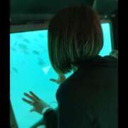 なな 次回出勤‼︎ モアグループ 土浦人妻花壇