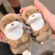 ヒメ日記 2025/11/21 15:49 投稿 ななか ウルトラドリーム