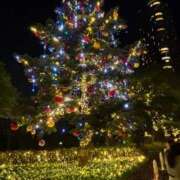 ヒメ日記 2025/11/28 12:19 投稿 ななか ウルトラドリーム