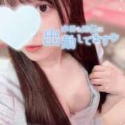 ヒメ日記 2025/11/20 09:18 投稿 めあ マリン千葉店