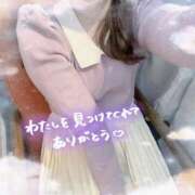 ヒメ日記 2025/11/10 14:22 投稿 ゆか 秋葉原鑑賞ガール