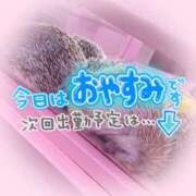 ヒメ日記 2025/11/14 13:47 投稿 ゆか 秋葉原鑑賞ガール