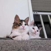 めい おはようございます💕 ぽっちゃりプリンセス