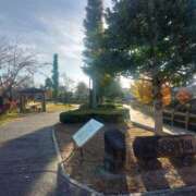 ヒメ日記 2025/11/24 15:05 投稿 えみり モアグループ熊谷人妻花壇