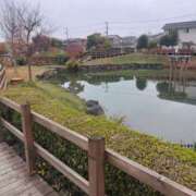 ヒメ日記 2025/12/03 10:38 投稿 えみり モアグループ熊谷人妻花壇