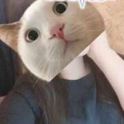 ヒメ日記 2025/11/18 19:55 投稿 きらら 奥鉄オクテツ神奈川店（デリヘル市場グループ）