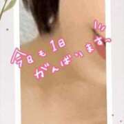 ヒメ日記 2025/11/16 08:22 投稿 いぶき 吉祥寺おかあさん