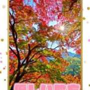 ヒメ日記 2025/11/23 11:12 投稿 いぶき 吉祥寺おかあさん