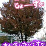 ヒメ日記 2025/11/24 17:12 投稿 いぶき 吉祥寺おかあさん