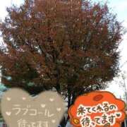 ヒメ日記 2025/11/29 20:50 投稿 いぶき 吉祥寺おかあさん