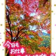 ヒメ日記 2025/12/03 16:32 投稿 いぶき 吉祥寺おかあさん