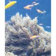 ヒメ日記 2025/12/06 12:42 投稿 いぶき 吉祥寺おかあさん