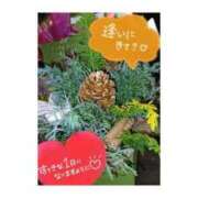 ヒメ日記 2025/12/13 12:44 投稿 いぶき 吉祥寺おかあさん