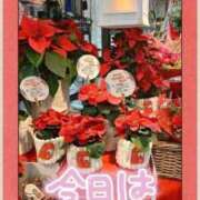 ヒメ日記 2025/12/16 12:10 投稿 いぶき 吉祥寺おかあさん