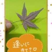 ヒメ日記 2025/12/18 12:42 投稿 いぶき 吉祥寺おかあさん