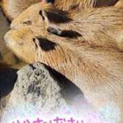 ヒメ日記 2025/12/22 19:52 投稿 いぶき 吉祥寺おかあさん