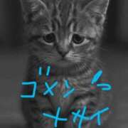 ヒメ日記 2026/01/08 21:32 投稿 せな 吉祥寺おかあさん