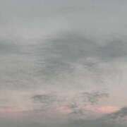 ヒメ日記 2025/11/11 12:03 投稿 とも 吉祥寺おかあさん