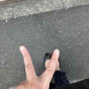 ヒメ日記 2025/11/12 11:22 投稿 とも 吉祥寺おかあさん