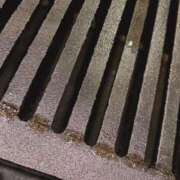 ヒメ日記 2025/11/12 17:22 投稿 とも 吉祥寺おかあさん