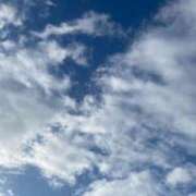 ヒメ日記 2025/12/12 15:12 投稿 とも 吉祥寺おかあさん