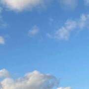 ヒメ日記 2025/12/13 07:02 投稿 とも 吉祥寺おかあさん