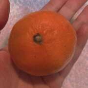 ヒメ日記 2025/12/13 08:59 投稿 とも 吉祥寺おかあさん