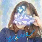 ヒメ日記 2025/11/17 08:42 投稿 ゆりえ 吉祥寺おかあさん