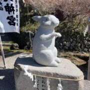 ヒメ日記 2026/03/30 09:48 投稿 京華(きょうか) PLUS十三店