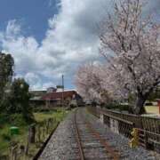 ヒメ日記 2026/04/02 09:48 投稿 京華(きょうか) PLUS十三店