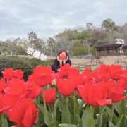 ヒメ日記 2026/04/06 11:38 投稿 京華(きょうか) PLUS十三店