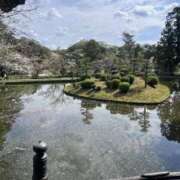 ヒメ日記 2026/04/08 10:03 投稿 京華(きょうか) PLUS十三店