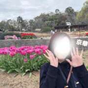 京華(きょうか) やっほ(*･ω･)ﾉ PLUS十三店