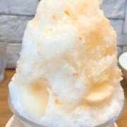 ヒメ日記 2026/07/09 12:24 投稿 京華(きょうか) PLUS十三店