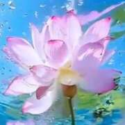 ヒメ日記 2025/12/14 08:40 投稿 のの 熟女家 京橋店