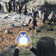 ヒメ日記 2026/01/17 09:36 投稿 のの 熟女家 京橋店