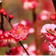 のの 予定変更ごめんなさい 熟女家 京橋店