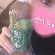 ヒメ日記 2025/11/08 23:35 投稿 りい 茨城水戸ちゃんこ