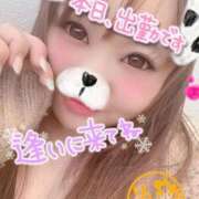 ヒメ日記 2025/11/18 17:25 投稿 りい 茨城水戸ちゃんこ