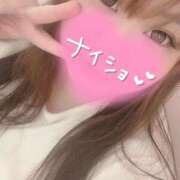 ヒメ日記 2025/11/20 12:45 投稿 りい 茨城水戸ちゃんこ