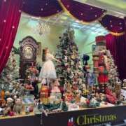 ヒメ日記 2025/12/16 07:40 投稿 なぎさ 電車ごっこ